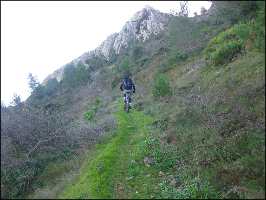 Últimas rampas del sendero que te deja sobre el Coll de Rates.